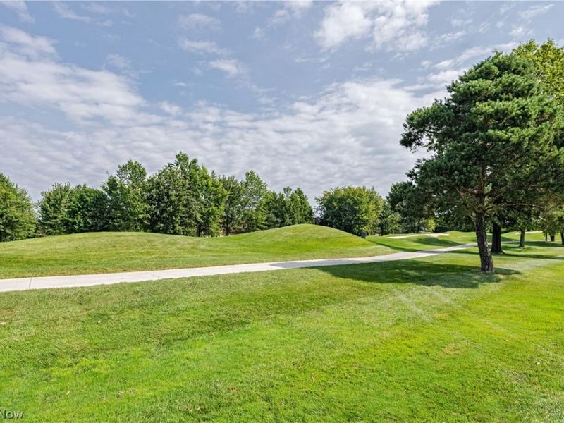 34244 Crown Colony Drive, Avon, OH 44011 Photo 46