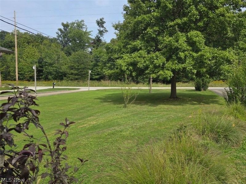 1221 Lake Avenue, Aurora, OH 44202 Photo 26