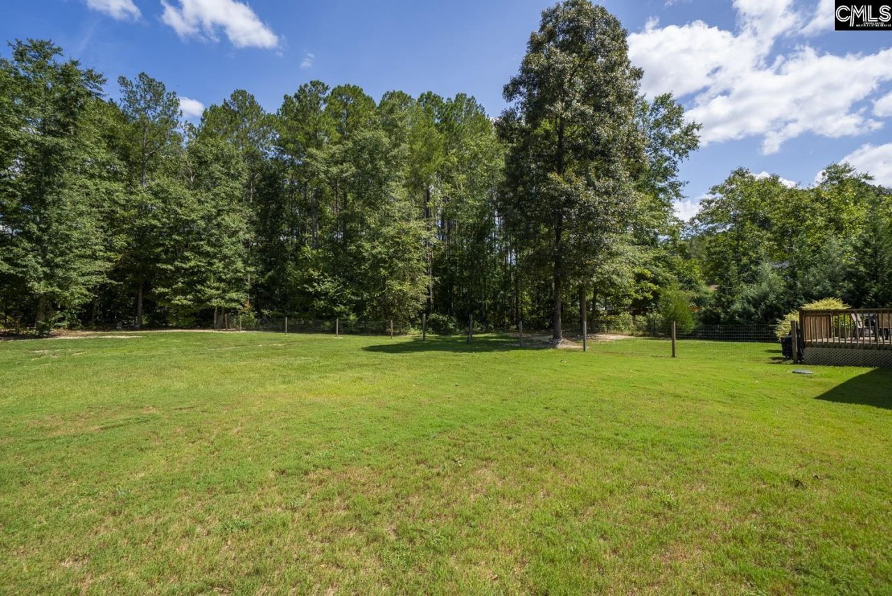 303 Juniper Springs Road Photo 50