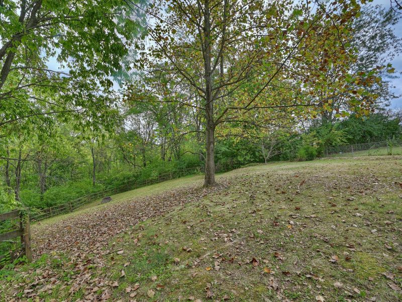 1309 Victory Lane, Independence, KY 41051 Photo 4