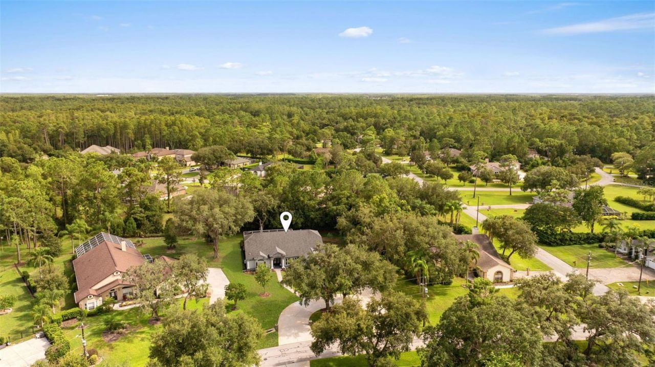 5116 Haltata Court, New Port Richey, FL 34655 Photo