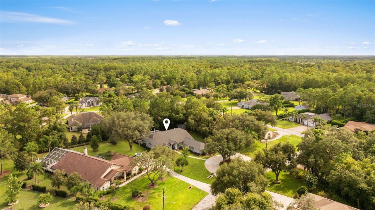 5116 Haltata Court, New Port Richey, FL 34655 Photo