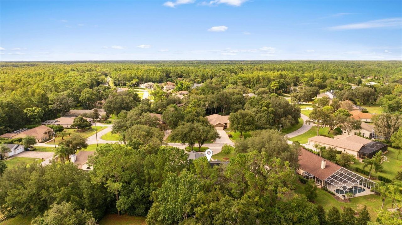 5116 Haltata Court, New Port Richey, FL 34655 Photo
