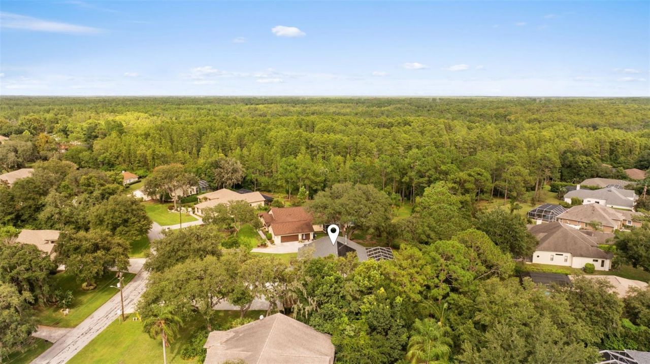 5116 Haltata Court, New Port Richey, FL 34655 Photo
