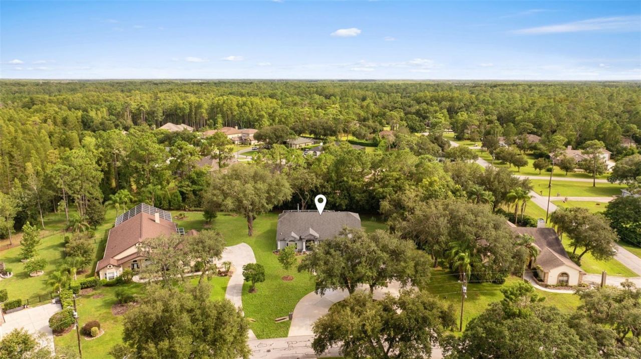 5116 Haltata Court, New Port Richey, FL 34655 Photo