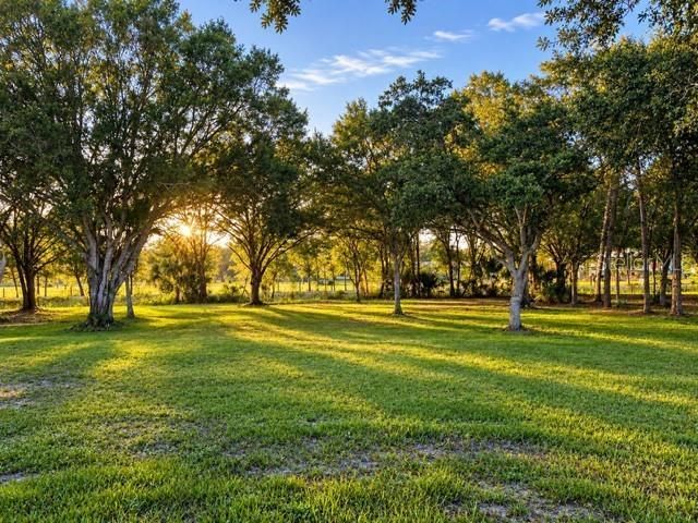 1777 Pollywog Crossover Road, Labelle, FL 33935 Photo