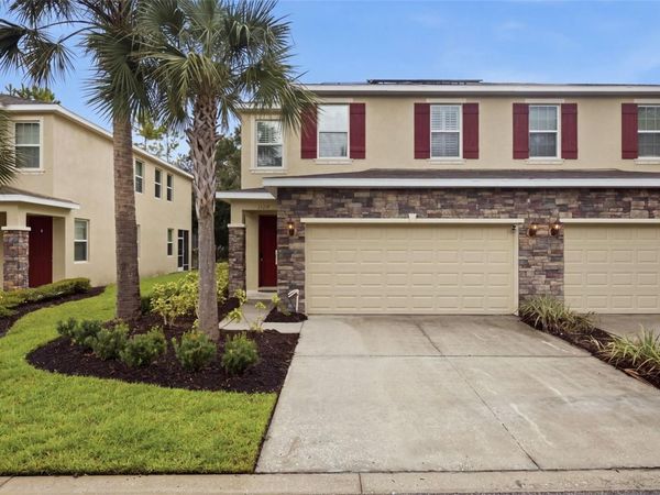 13219 CANOPY CREEK DRIVE , TAMPA, FL 33625