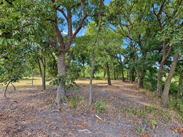 82 10th Street, Honey Grove, TX 75446