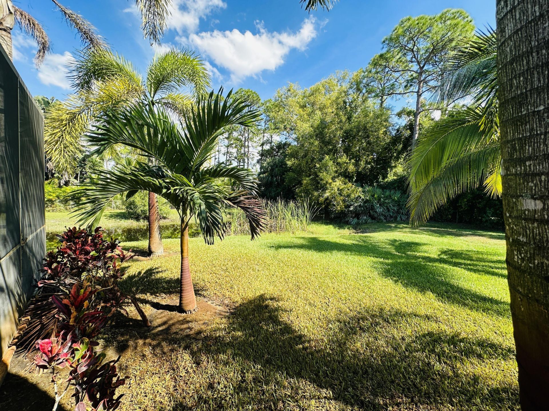 14917 Tangelo Boulevard, The Acreage, FL 33412 Photo