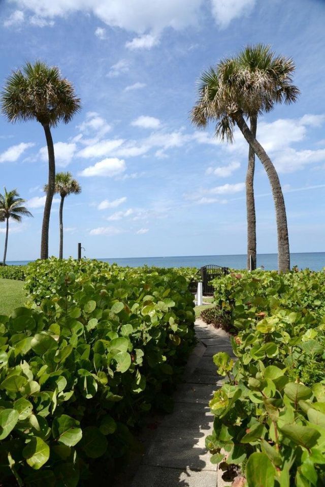 70 Celestial Way, Unit 203, Juno Beach, FL 33408 Photo