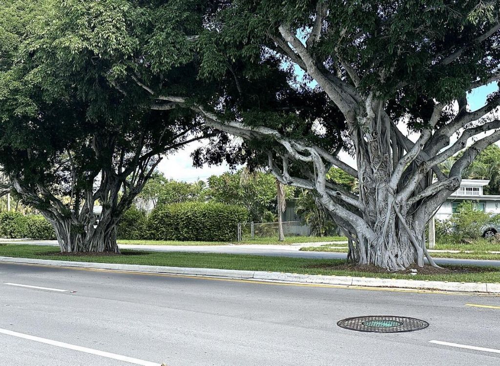 300 NE 20th Street, Unit 4100, Boca Raton, FL 33431 Photo