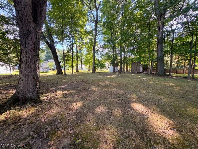 29352 Waldensa Avenue, Wickliffe, OH 44092 Photo 19