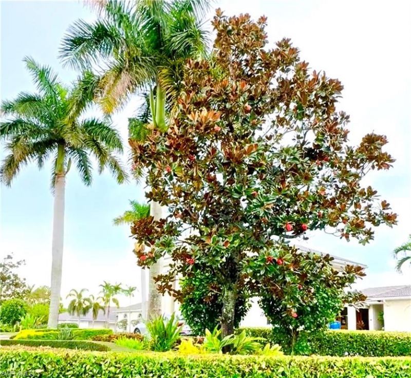 6945 Dennis Cir, Unit i206, Naples, FL 34104 Photo