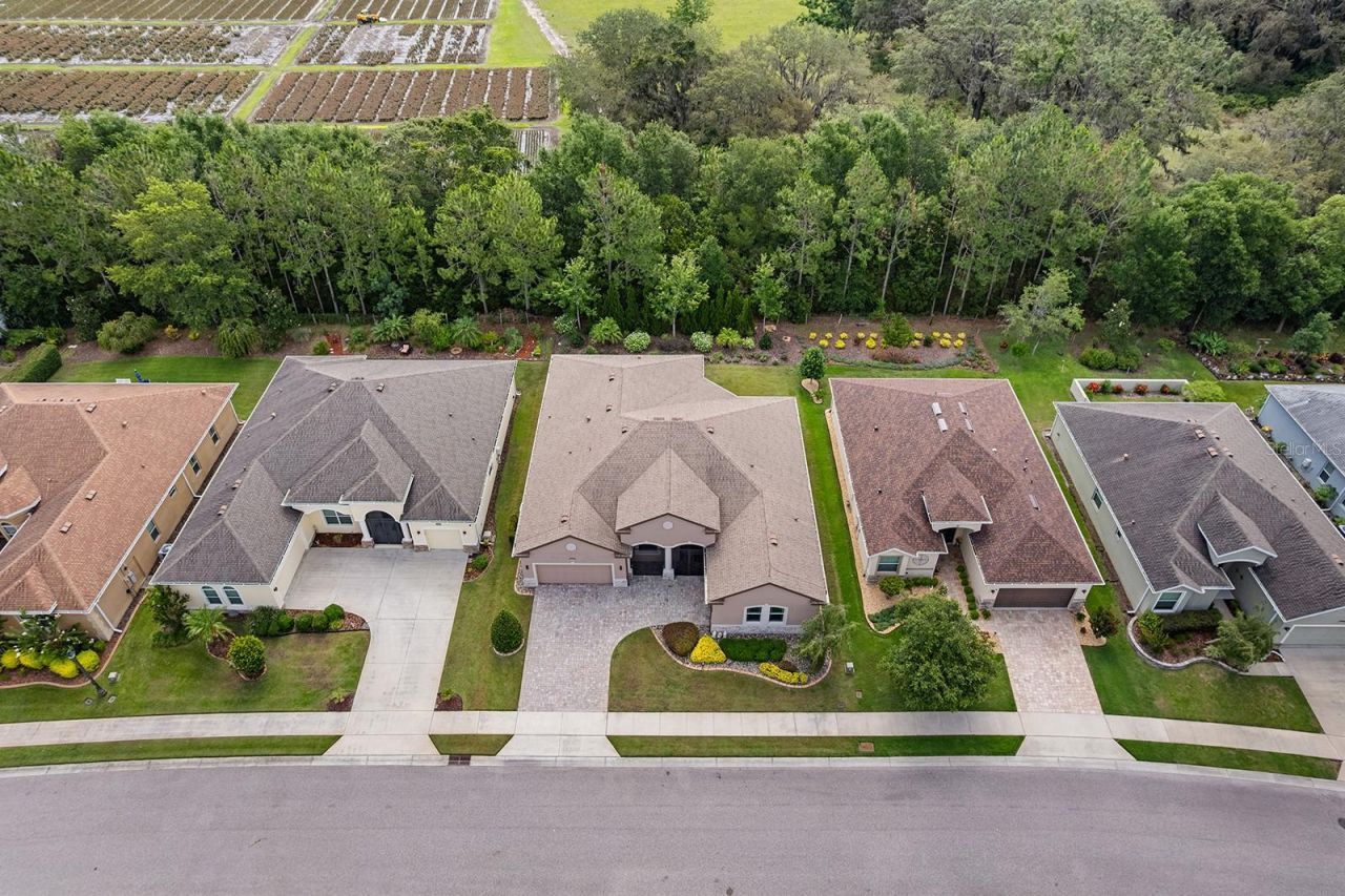 8348 Bridgeport Bay Circle, Mount Dora, FL 32757 Photo