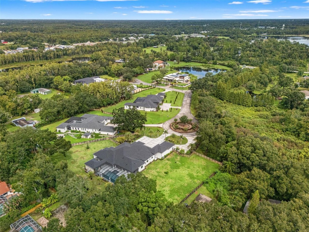 17602 Grande Estates Place, Lutz, FL 33549 Photo