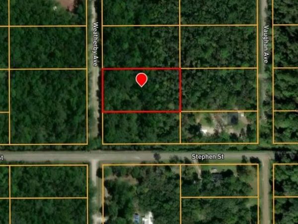 10160 WEATHERBY AVENUE , HASTINGS, FL 32145