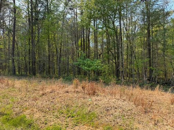 0 Ironsburg Road , Tellico Plains, TN 37385