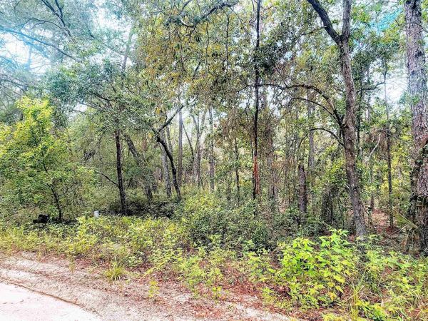 Minnestoa Ave, Satsuma, FL 32189