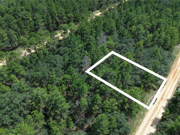 NEILSEN AVE , INTERLACHEN, FL 32148
