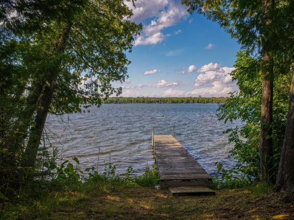 29453 Timberwolf Road NE, Pennington, MN 56663