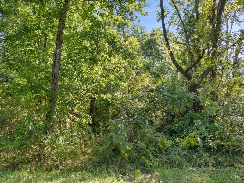0 Starling Road, Tate Township, OH 45106 Photo 14