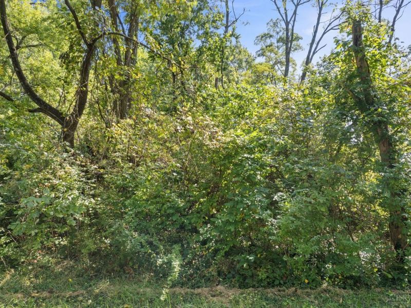 0 Starling Road, Tate Township, OH 45106 Photo 15