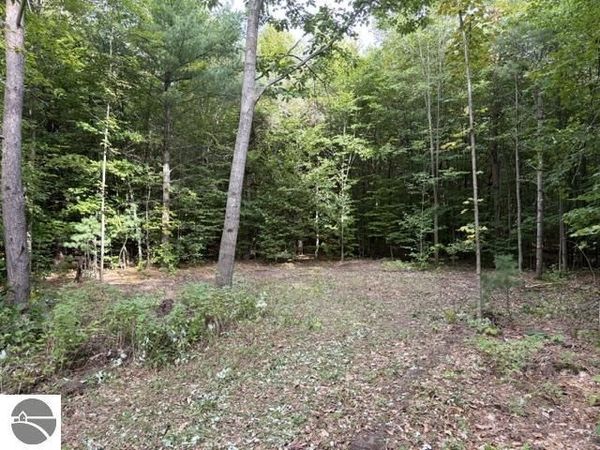 Paradise Ridge Trail, Lake Ann, MI 49684