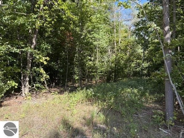 Paradise Ridge Trail, Traverse City, MI 49684
