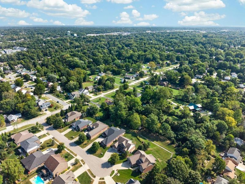 818 Forest Acres Drive, Anderson Township, OH 45255 Photo 12