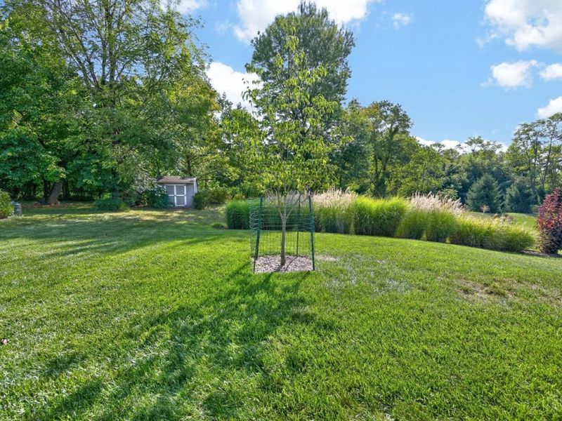 818 Forest Acres Drive, Anderson Township, OH 45255 Photo 81