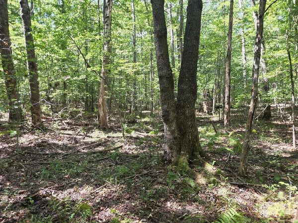 W Laurel Way, Monterey, TN 38574