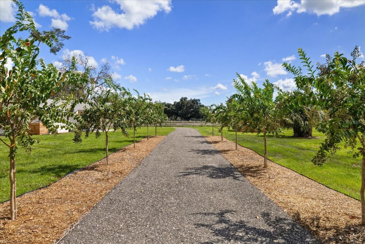 2515 Ragins Lane, Plant City, FL 33567 Photo