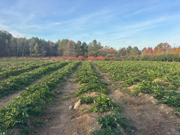 571 Main Street , Monmouth, ME 04259