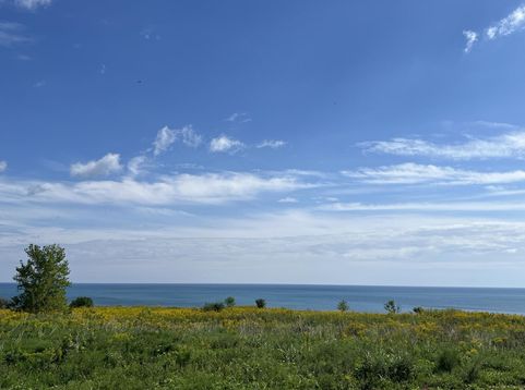 Main Photo