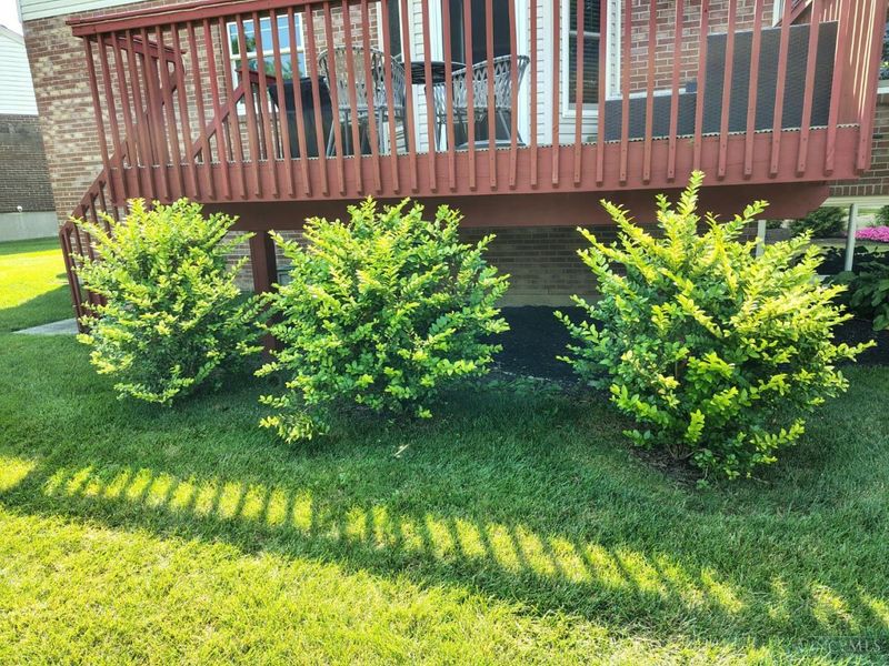 6253 Zilpha Court, Fairfield Township, OH 45011 Photo 23