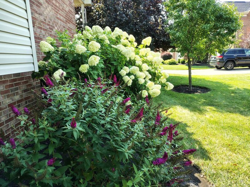 6253 Zilpha Court, Fairfield Township, OH 45011 Photo 24