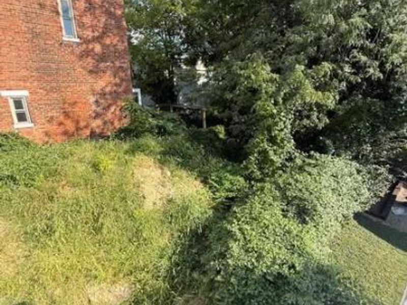 1639 Clayton Street, Cincinnati, OH 45206 Photo 4