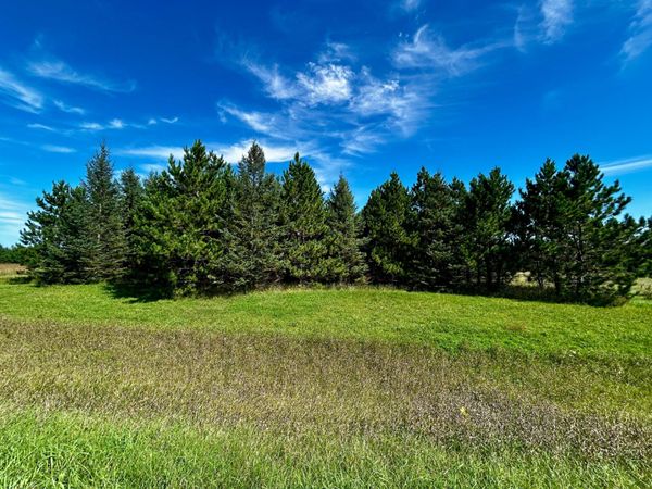 TBD 560th , New York Mills, MN 56567