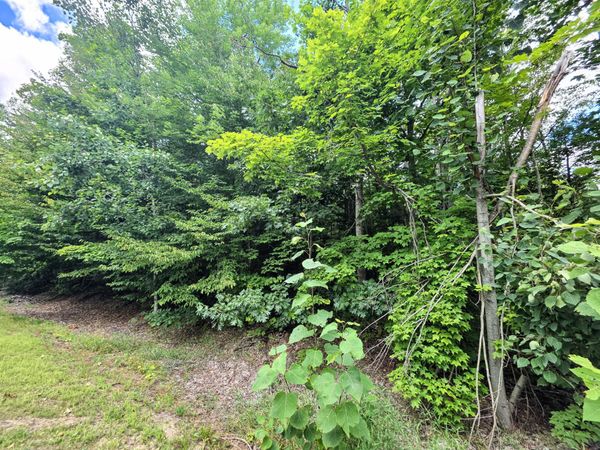 Lot 56 Deepwoods Drive, Gaylord, MI 49735