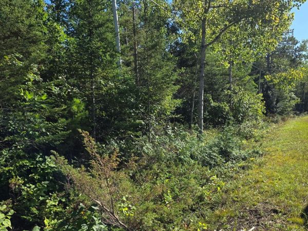 261 Pineview Drive, Presque Isle, MI 49777