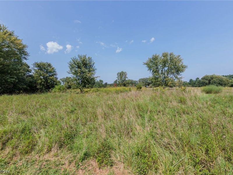 2329 Wilbur Road, Medina, OH 44256 Photo 27