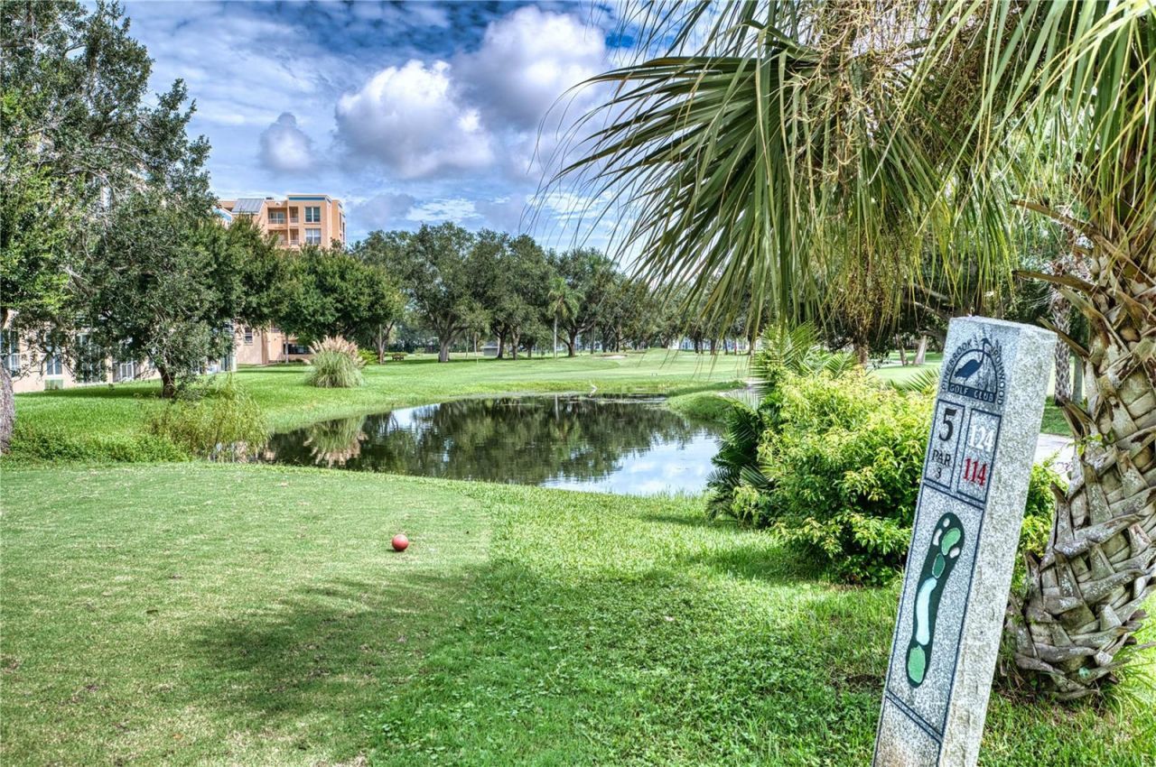 4480 Fairways Boulevard, Unit 206, Bradenton, FL 34209 Photo