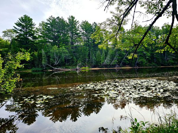00 Smith RD, Newberry, MI 49868