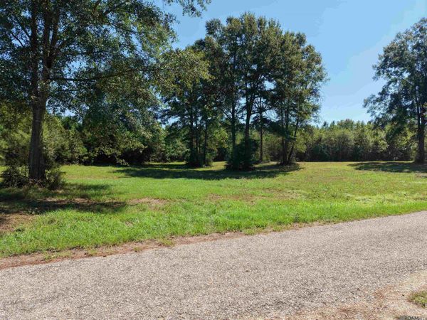 TBD Hwy 1055, Mt Hermon, LA 70450