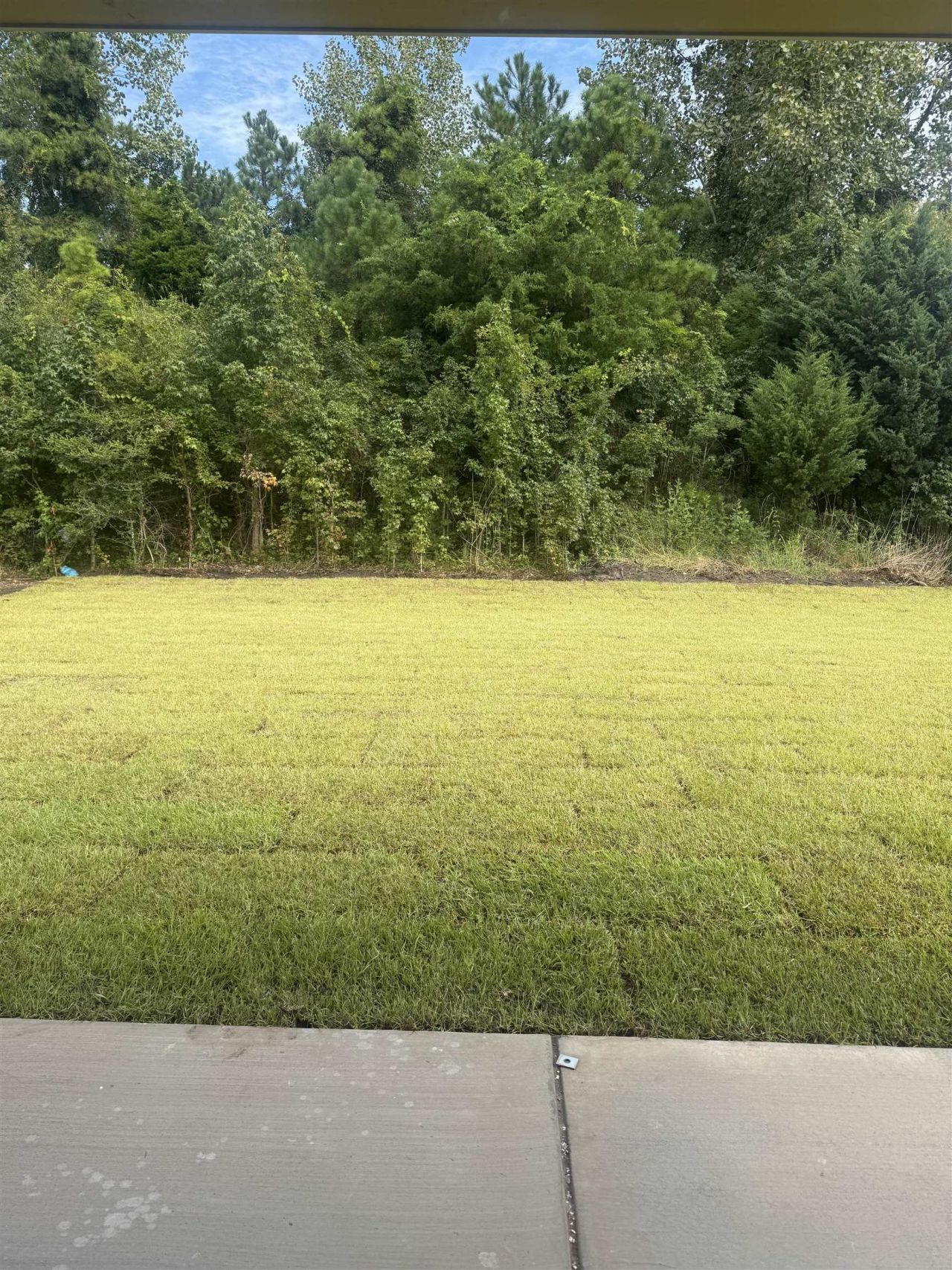 175 Broughton Dr. Photo 6