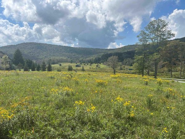38 Waterfront Drive, Davis, WV 26260