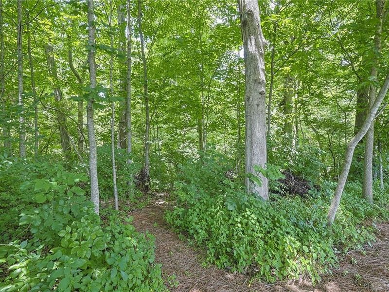 4763 Logsdons Meadow Drive, Liberty Township, OH 45011 Photo 34