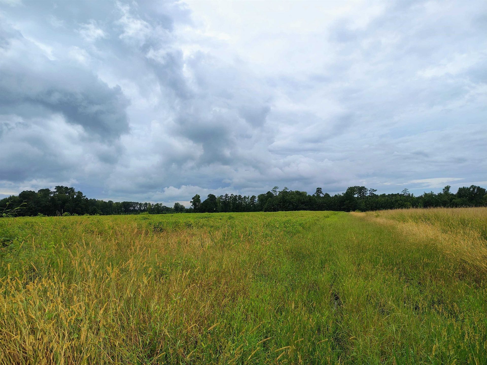 Tbd Fries Bay Rd. Photo 8