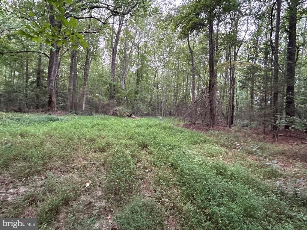Mila Road, Heathsville, VA 22473 Main Photo