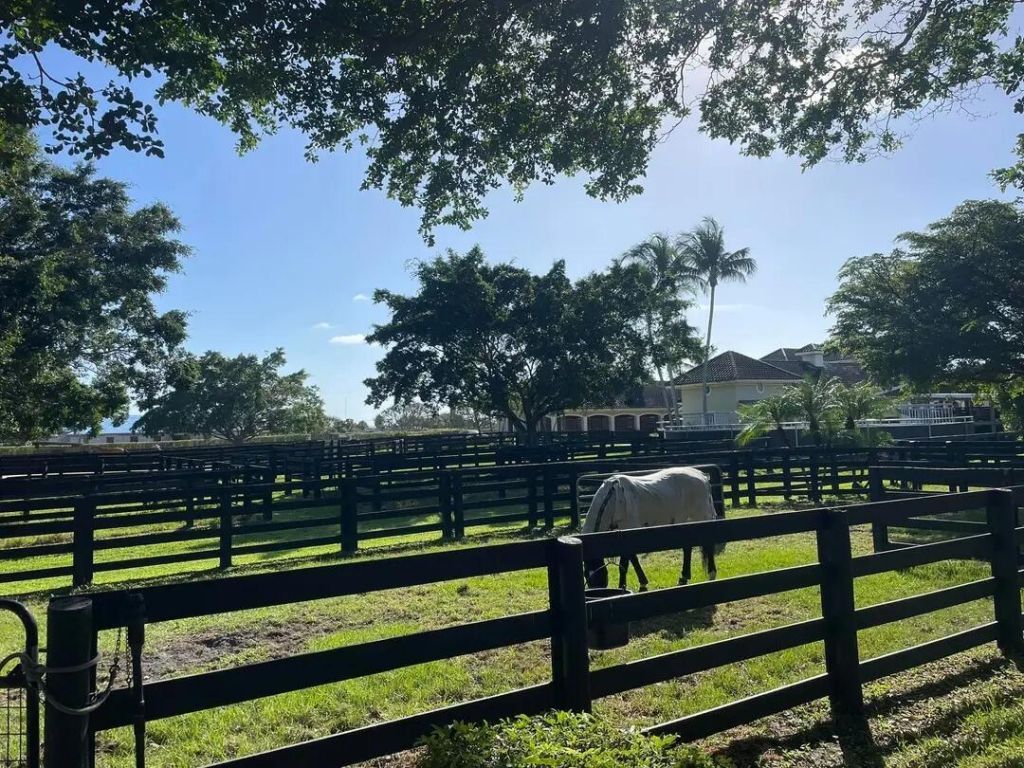 14875 Palm Beach Point Boulevard, Wellington, FL 33414 Photo